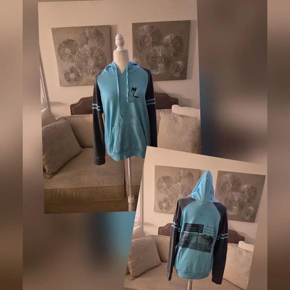 Hardsun Blue and Gray Kids Hoodie Sz Large